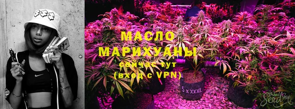 СК Новодвинск