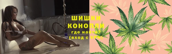 СК Новодвинск