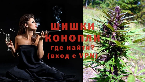 СК Новодвинск