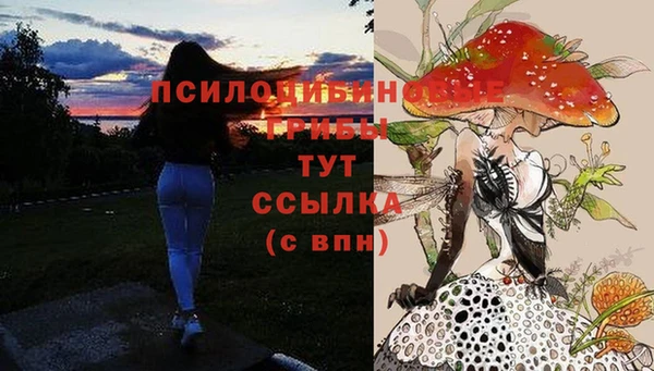 кокаин Няндома