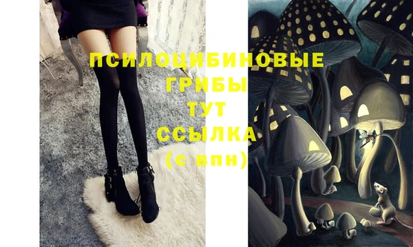 хмурый Нязепетровск